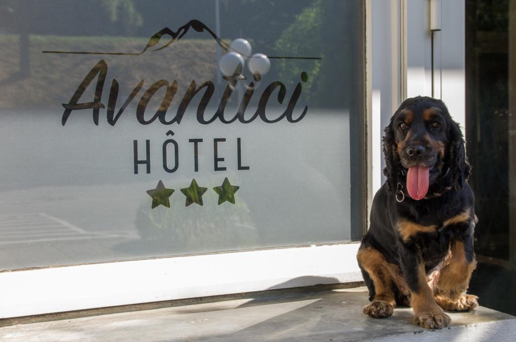 Cit'Hotel Avantici غاب المظهر الخارجي الصورة
